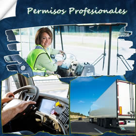 Carnet de camión