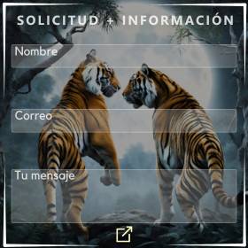 Formulario más info