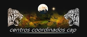 Logo Centros Autorizados CAP